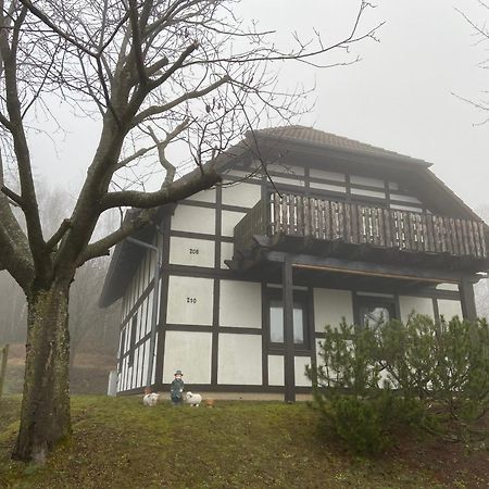 Ferienwohnung Lix Direkt Am Waldrand Франкенау Екстер'єр фото